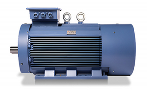 TYP Series Frequency variabilis Permanens Magnet Synchronous Motor