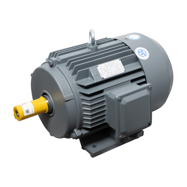 Permanente Magnetmotor der Typie der Typ Serie