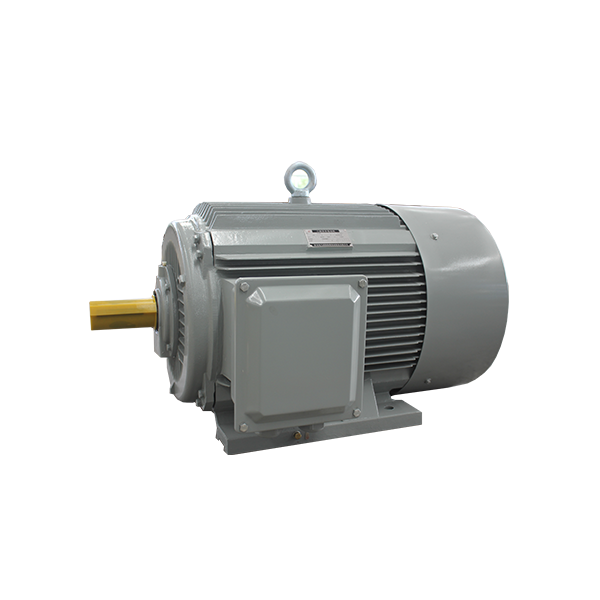 Permanente Magnetmotor der Typie der Typ Serie